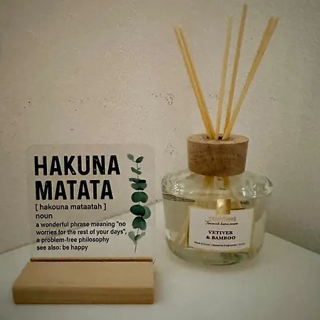 Bali S Parkovacim Mistem V Centru Mesta Τσέσκε Μπουντεγιόβιτσε