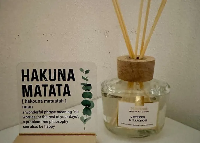 Bali S Parkovacim Mistem V Centru Mesta Ceske Budejovice