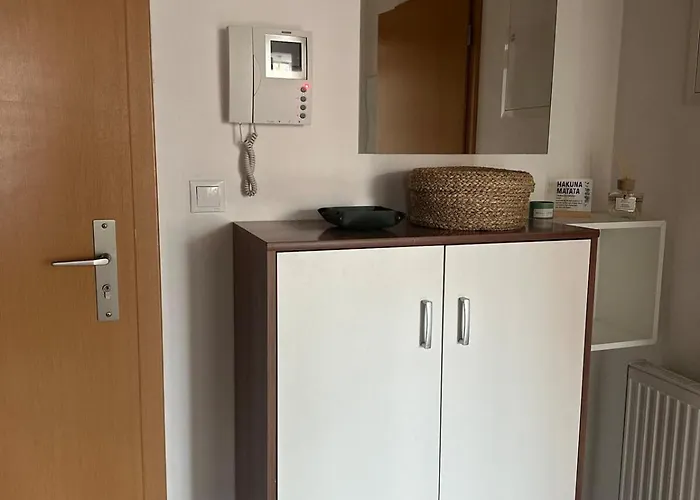 Bali S Parkovacim Mistem V Centru Mesta Ceske Budejovice